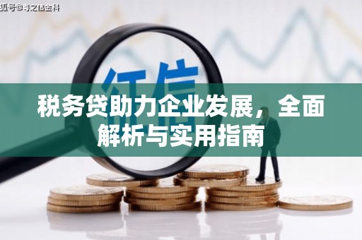 嘉定税务贷助力企业发展，全面解析与实用指南