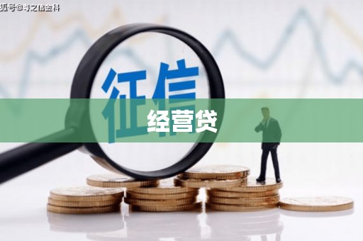 嘉定经营贷