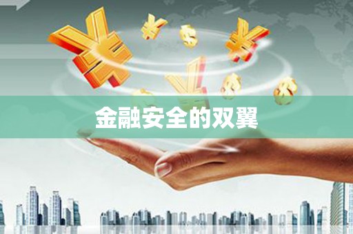 嘉定金融安全的双翼