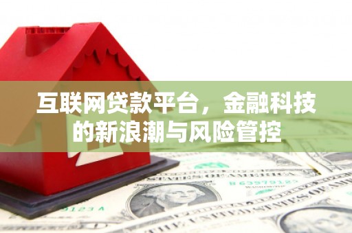 嘉定互联网贷款平台，金融科技的新浪潮与风险管控