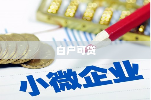 嘉定白户可贷
