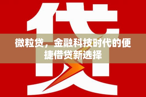 嘉定微粒贷，金融科技时代的便捷借贷新选择
