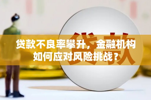 嘉定贷款不良率攀升，金融机构如何应对风险挑战？