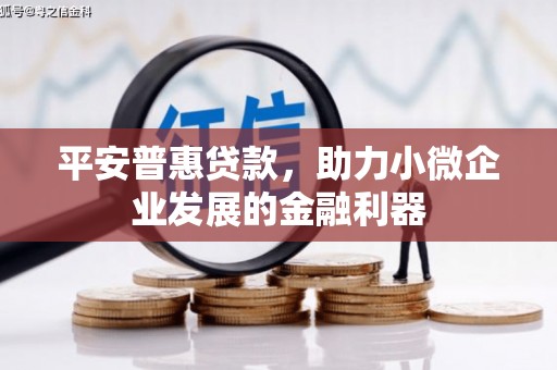 嘉定平安普惠贷款，助力小微企业发展的金融利器