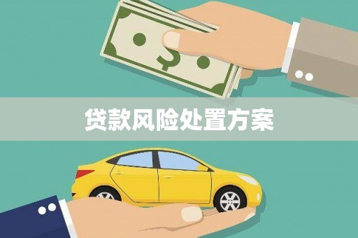 嘉定贷款风险处置方案