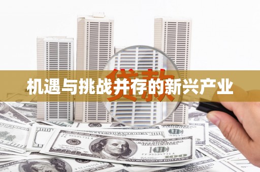 嘉定机遇与挑战并存的新兴产业