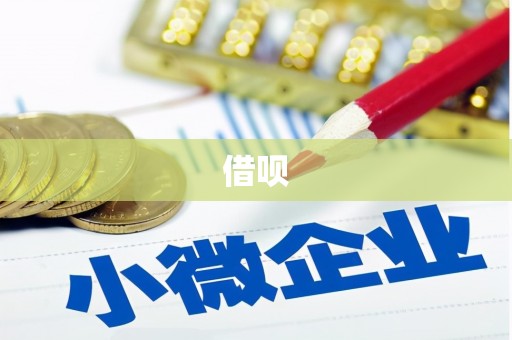 嘉定借呗