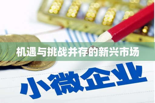 嘉定机遇与挑战并存的新兴市场