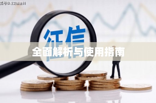 嘉定全面解析与使用指南