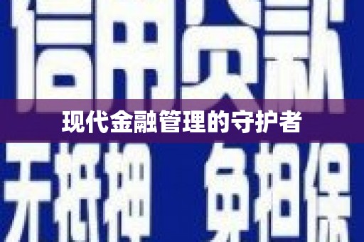 嘉定现代金融管理的守护者